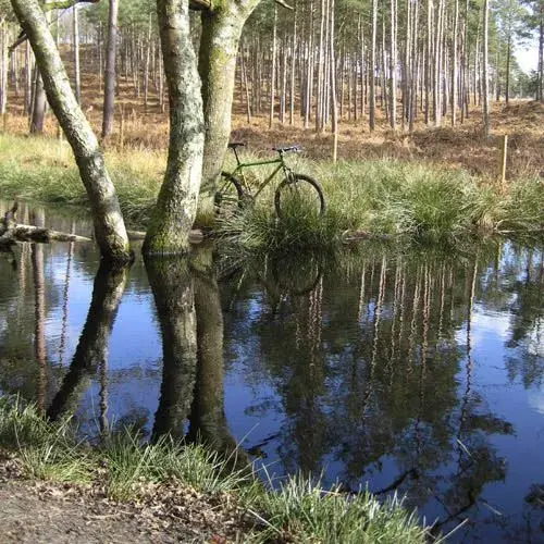 Bit more time to reflect.webp