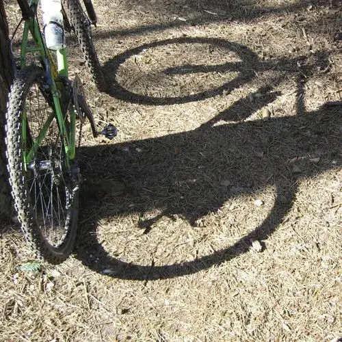 sun and shadows.webp