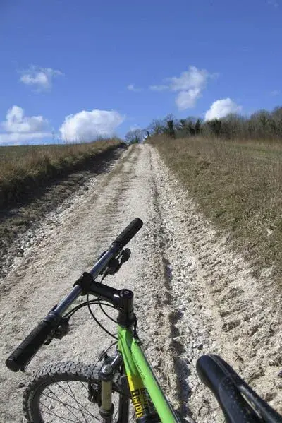 Up My Hill.webp