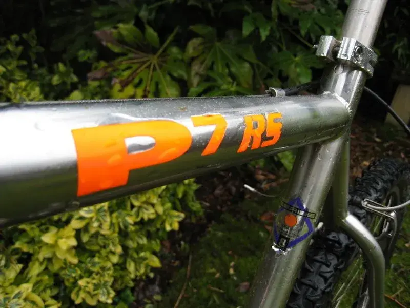 p7 2.webp