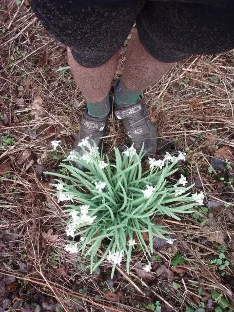Evidence of Spring.webp