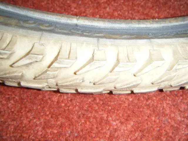 DSCF0954.webp