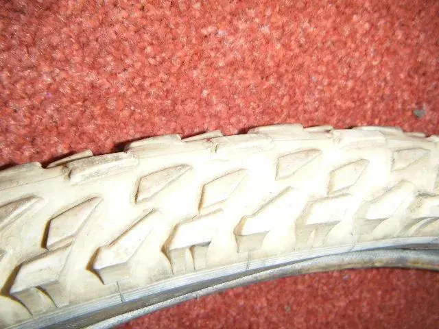 DSCF0953.webp