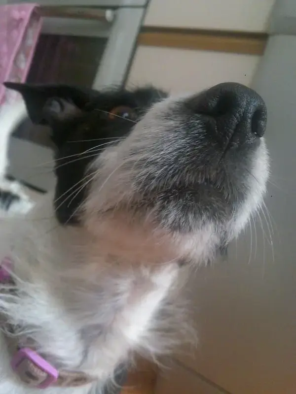 small 13032010884.webp