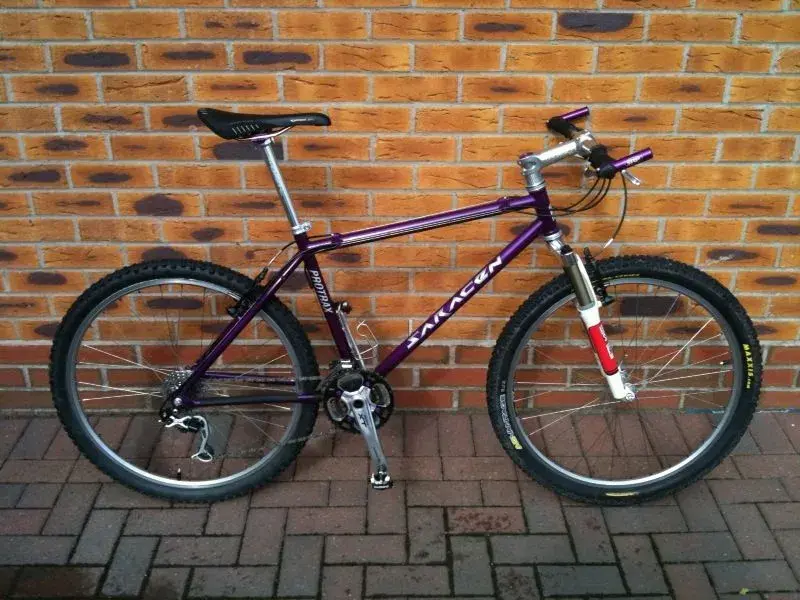 Saracen Protrax SE.webp