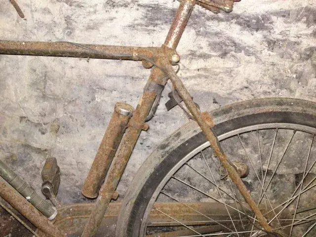 Raleigh 3.webp