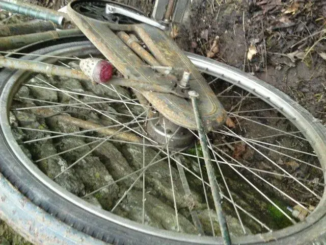Raleigh 5.webp