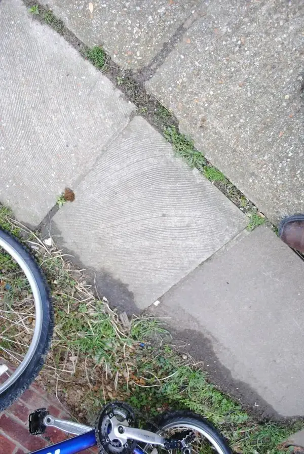 ebay pic.webp