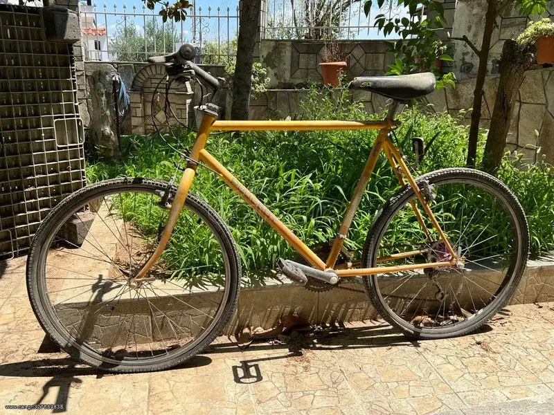 peugeot_safari.webp