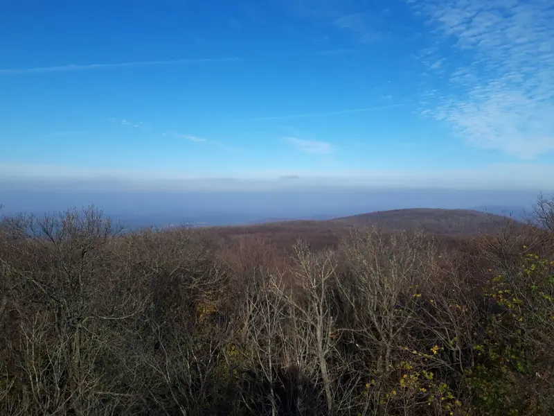 20221112_125514.jpg