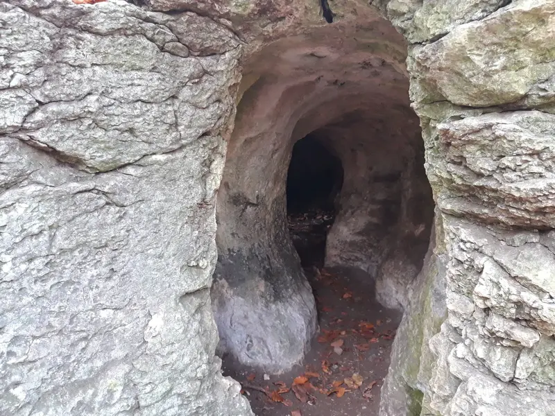 20221112_145221.jpg