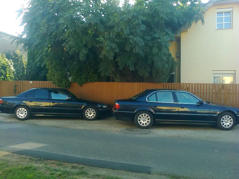 Bömbördög & Bömböc.webp