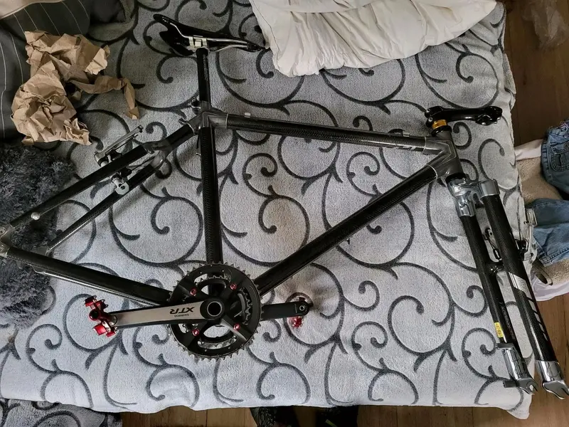 BATAVUS.webp