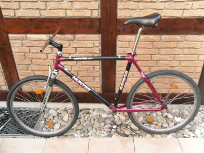 BATAVUS5.webp