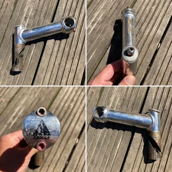 profile stem.JPG