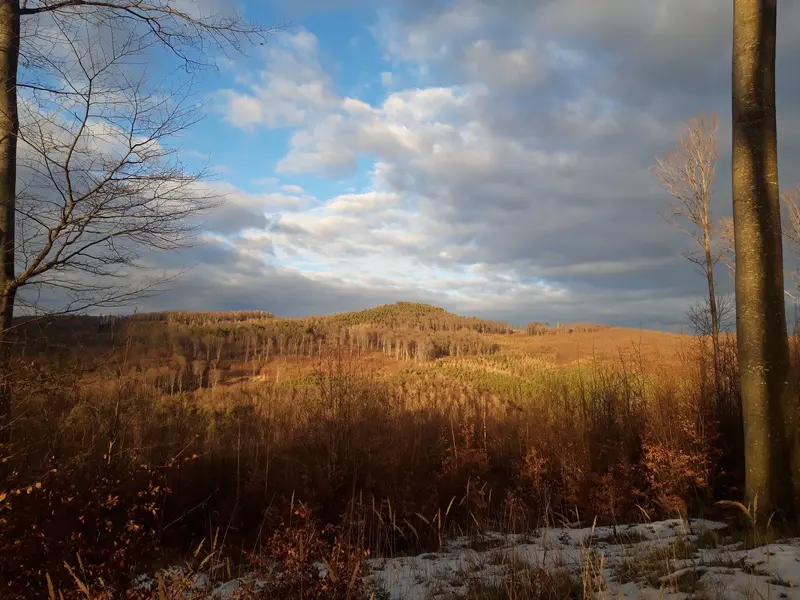 20220208_161053.jpg