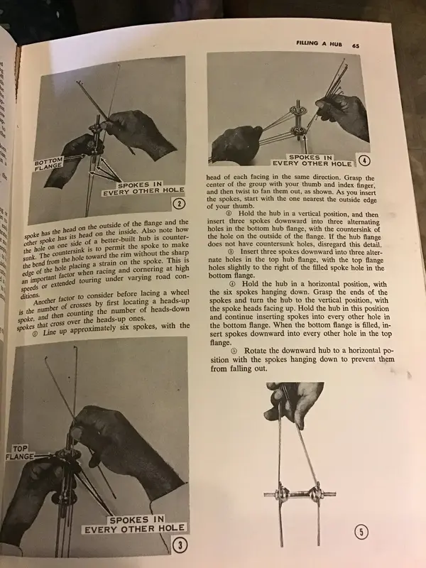 image.jpg