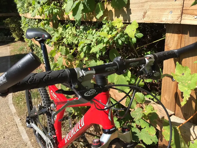 Specialized Bike .webp