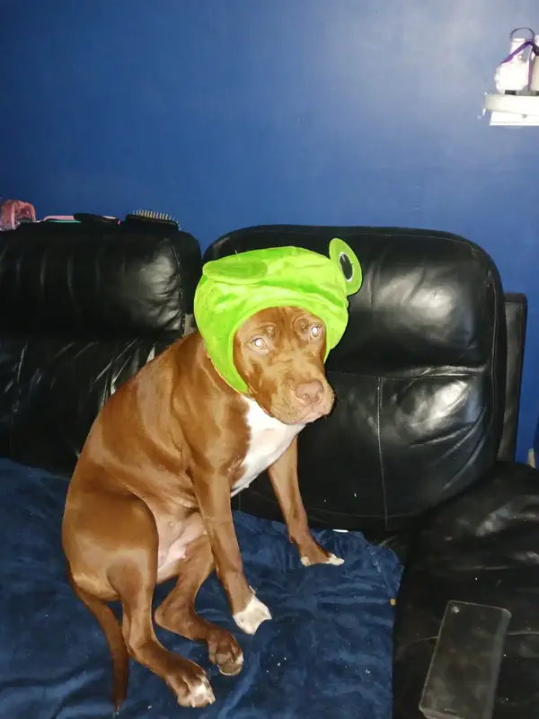 IMG-20221202-WA0001.webp