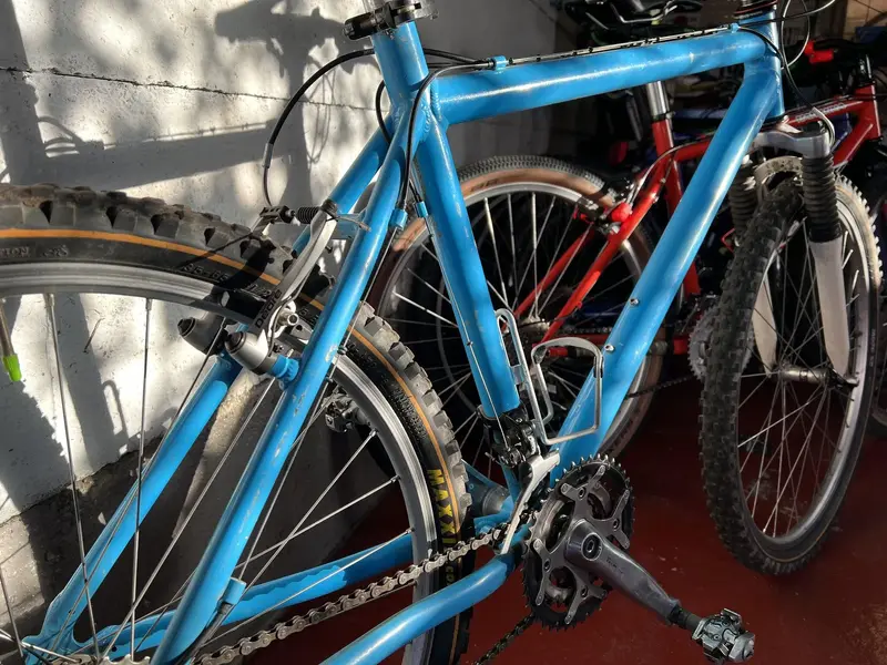 Raleigh M-Trax 350 Rear.webp