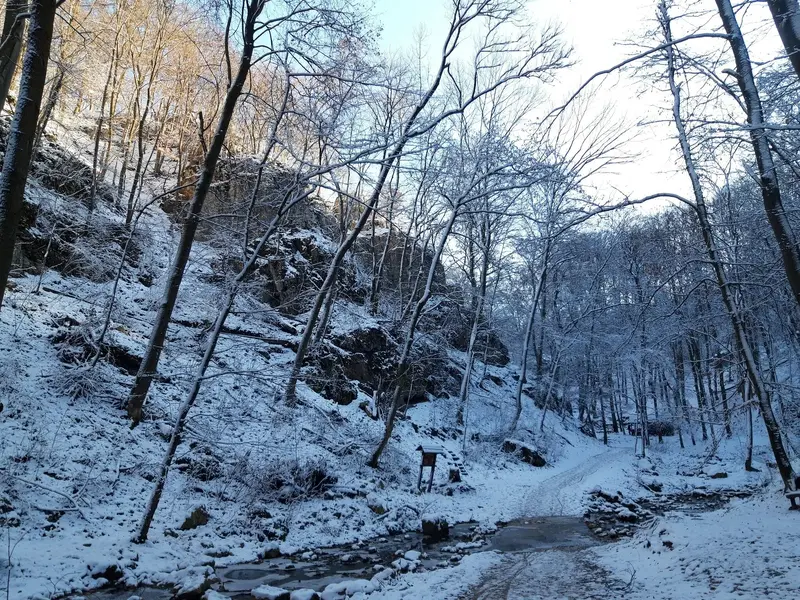 20221213_130748.jpg