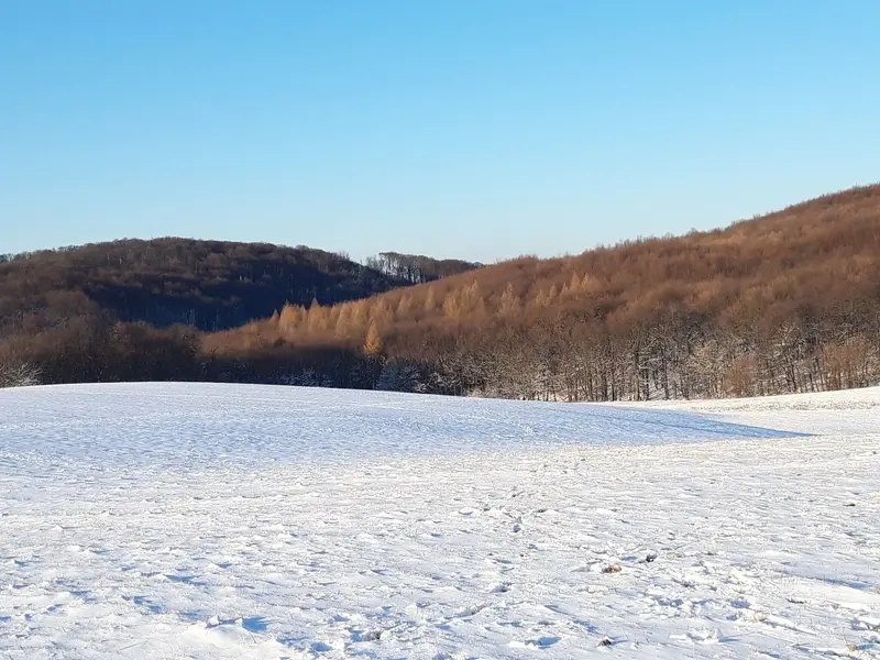 20221213_142852.jpg