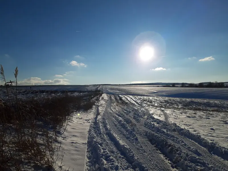 20221213_141924.jpg