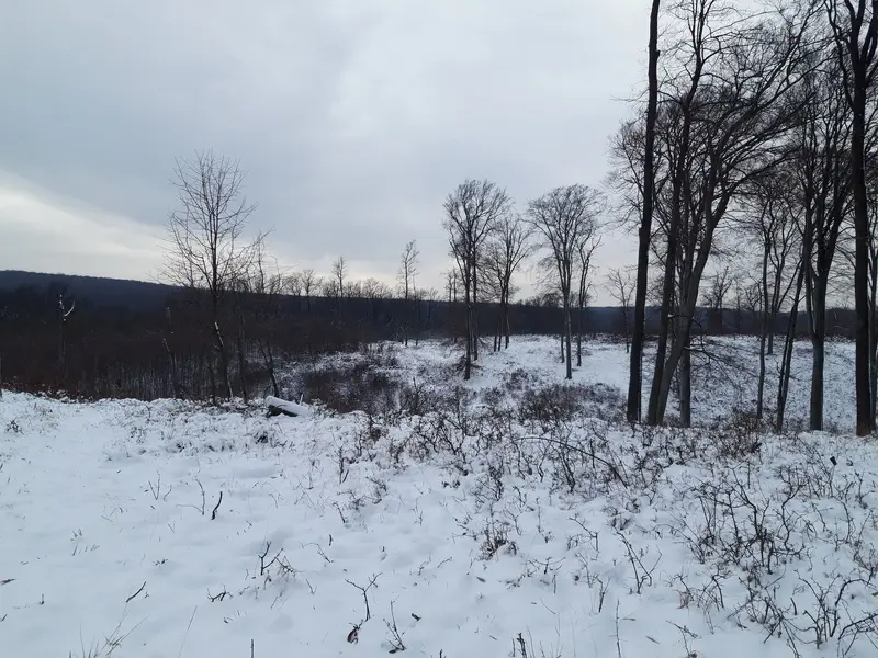 20221214_132708.jpg