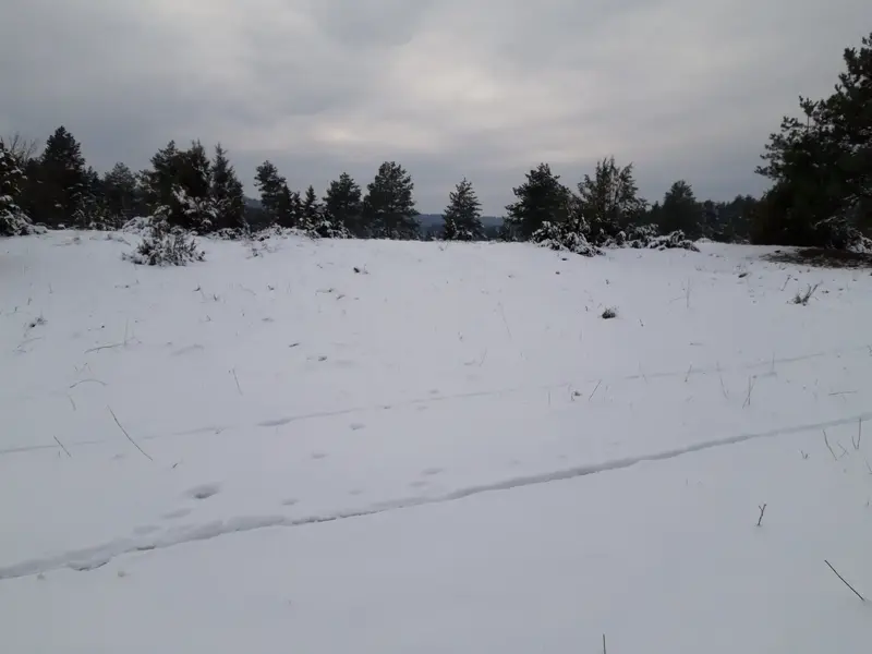 20221214_135013.jpg