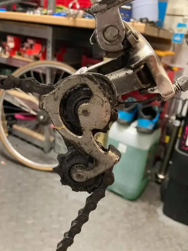 campagnogo.webp