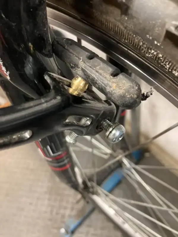 brake olive.webp