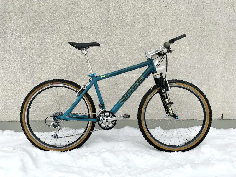 Cannondale manitou 2025