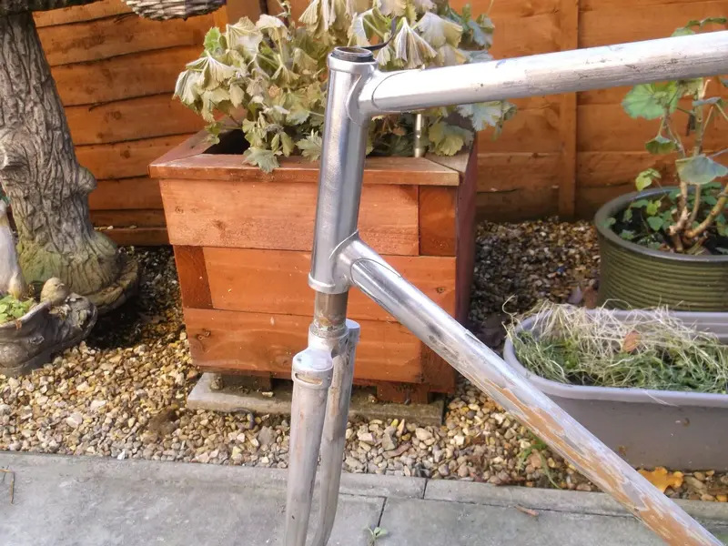 DSCF2438.webp