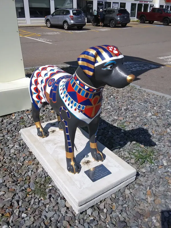 20220806_101151.jpg