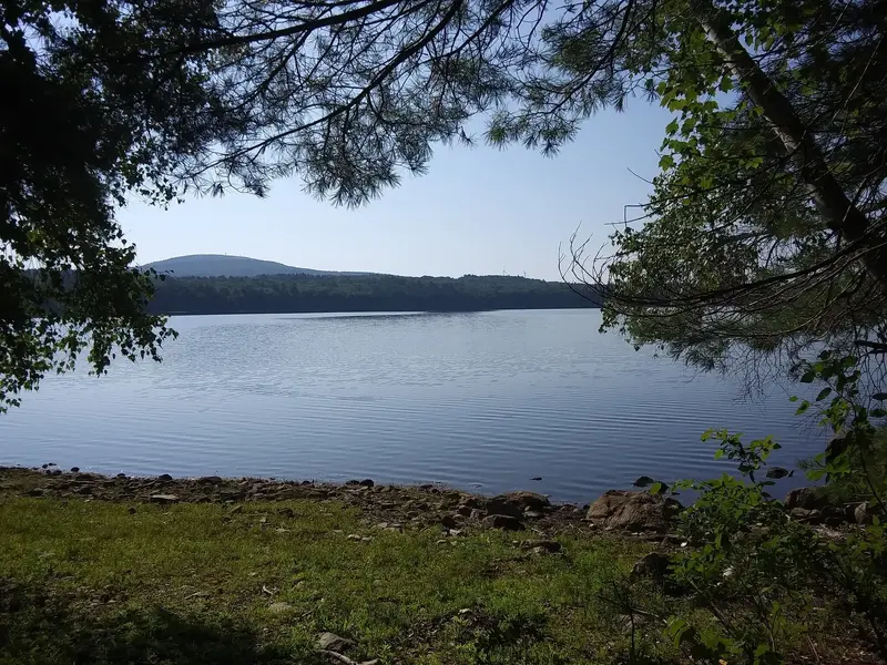 20220806_090847.jpg