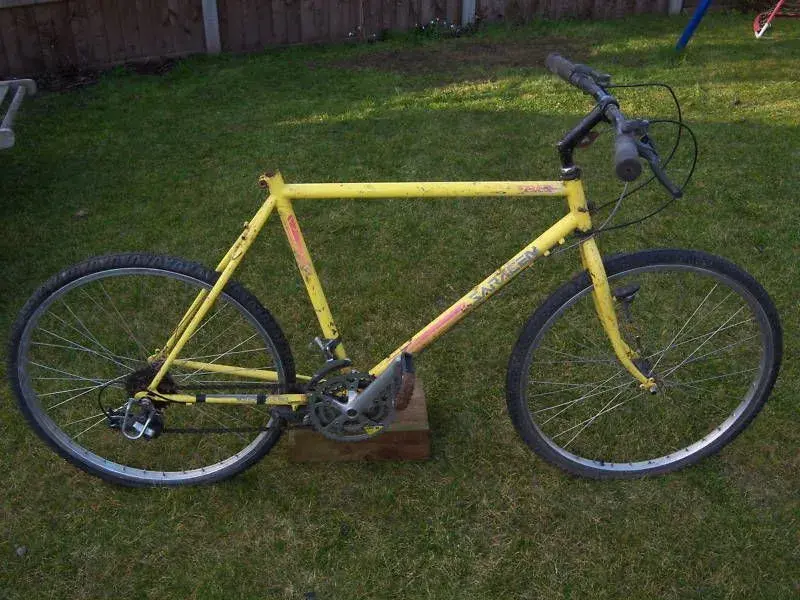 saracen.webp