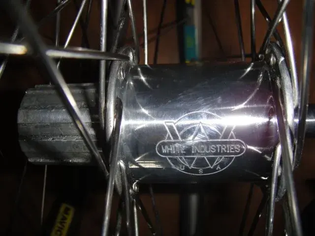 DSC00078.webp