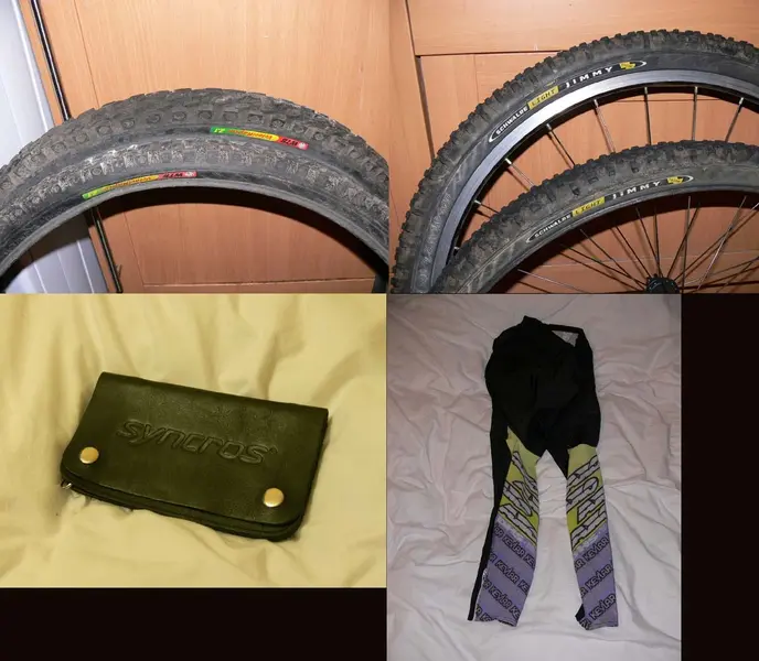collage1.webp