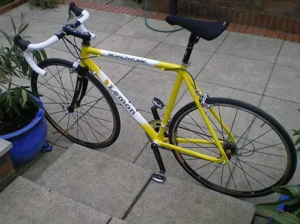 finished lemon! 009resized.webp