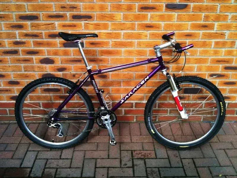 Saracen Protrax SE.webp