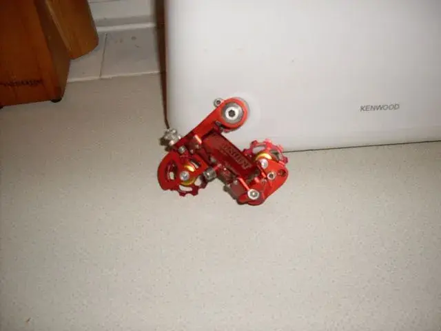 SDC10587.webp