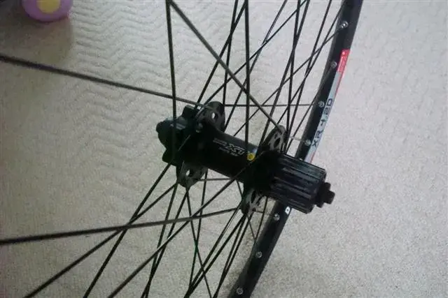 XT Wheel 003 (Small).webp