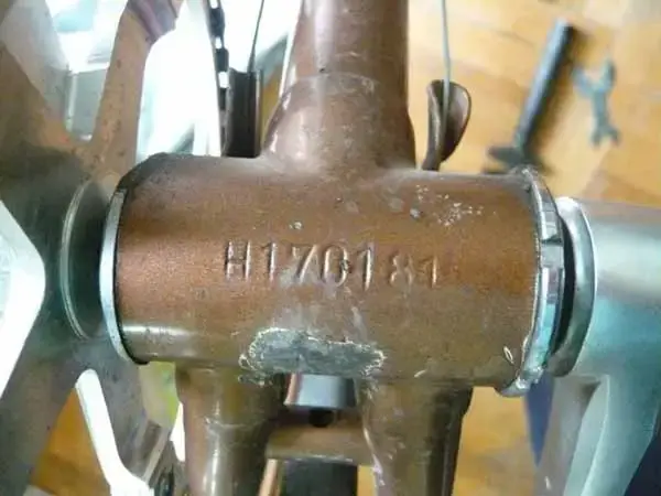 M1070070.webp