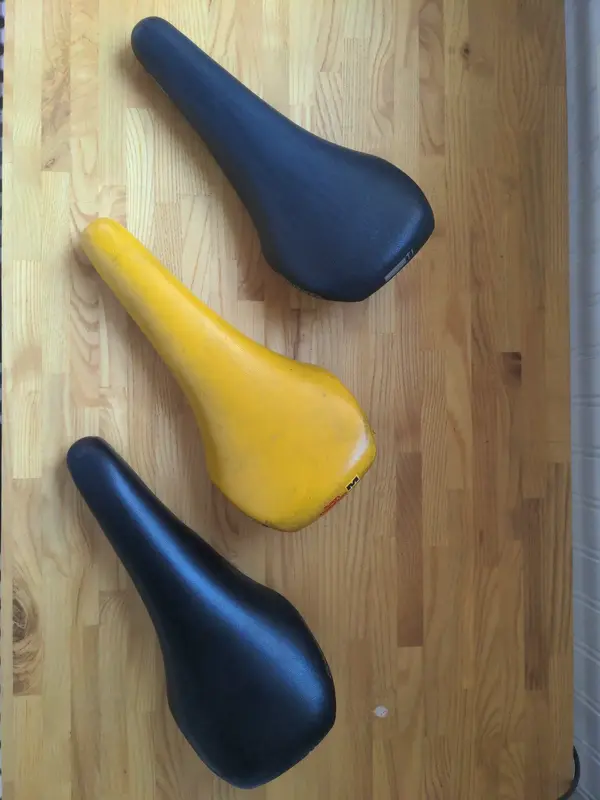 saddles.webp