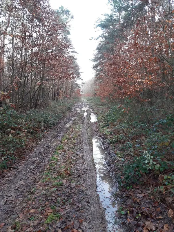 20221226_130902.jpg