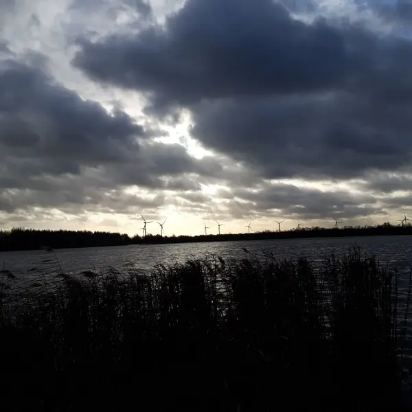 20221229_130021.webp