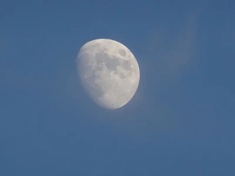 DSC01548.webp