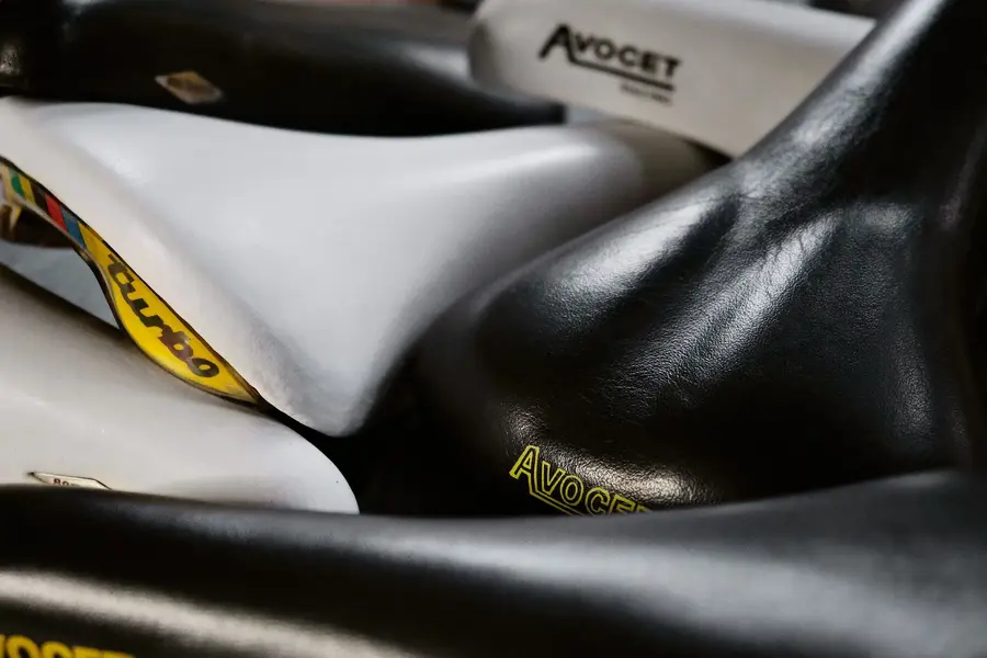shiny_saddles.webp