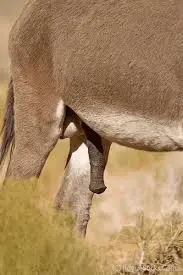 1672962138128.webp