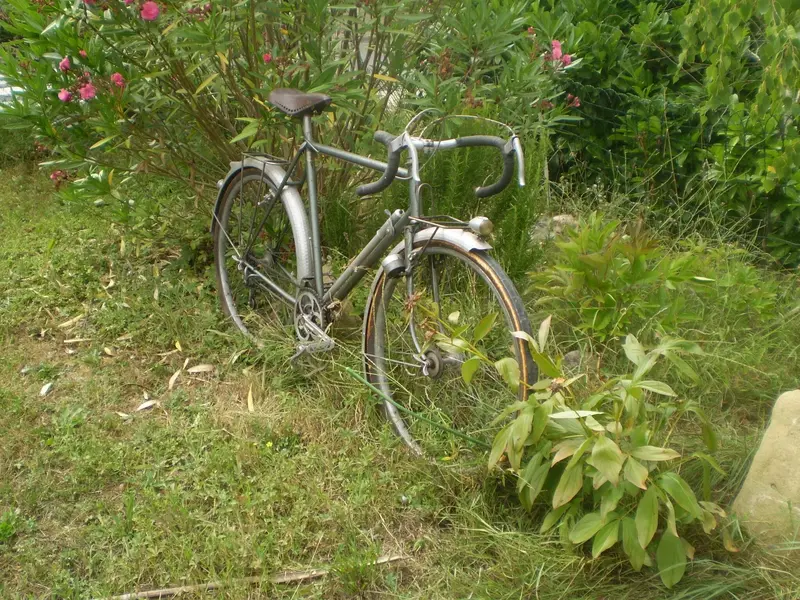 50Randonneur1.jpg